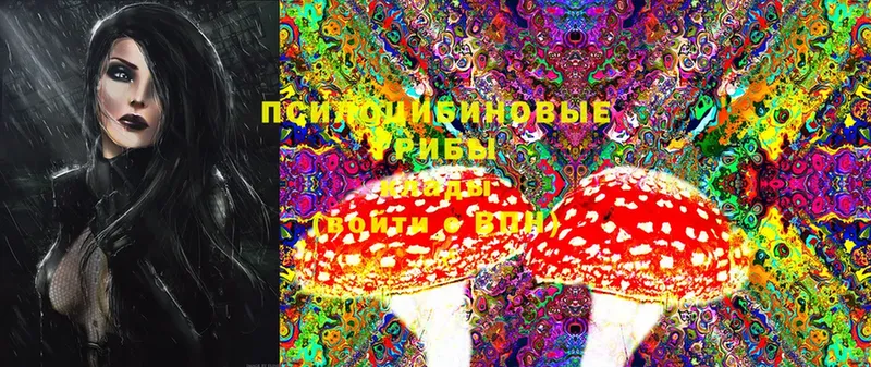 Псилоцибиновые грибы Magic Shrooms  как найти закладки  Азов 